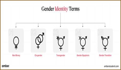 Understanding Gender Identity: The Case Of Brittney Griner's Biological Sex